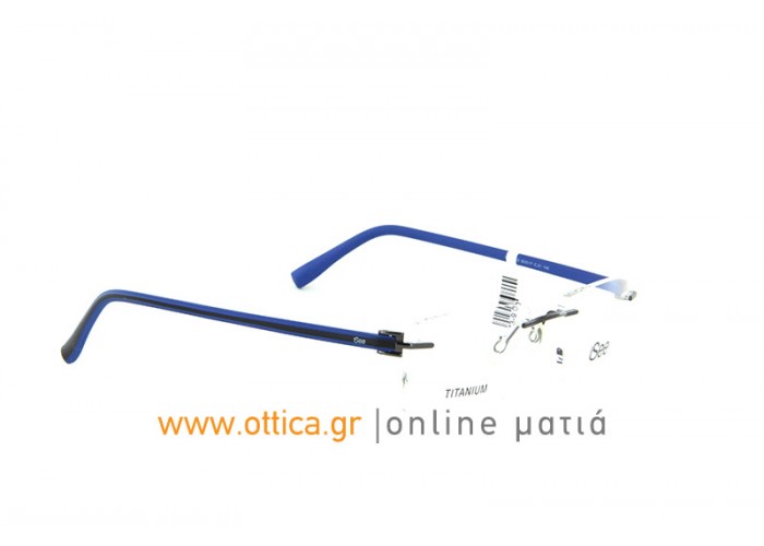 ISEE3002 C21 ISEE3002 C21